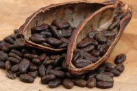 raw-cacao-beans.jpg